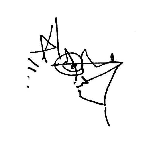 The sound of language