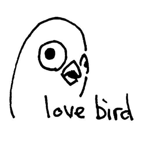 Love Bird Cover